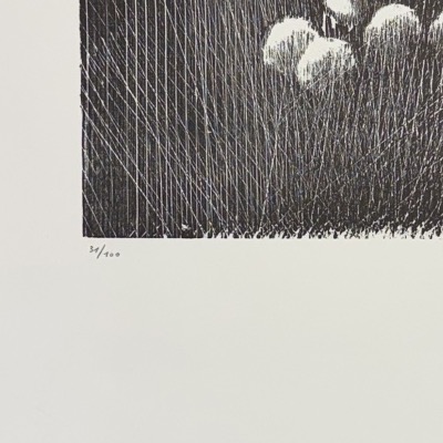 Hans Hartung - H-12-1973 - Black-and-white Lithograph - 1973-photo-4