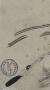 1606978-68b1cb428bbb2.jpg