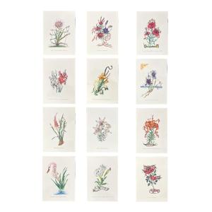 Salvador Dali - Surrealist Flowers - Suite Of 12 Embossed Color Lithographs - 1972