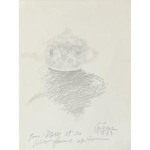 César, César Baldaccini dit - Théière - Crayon et encre  - Signée, datée et dédicacée - 1983