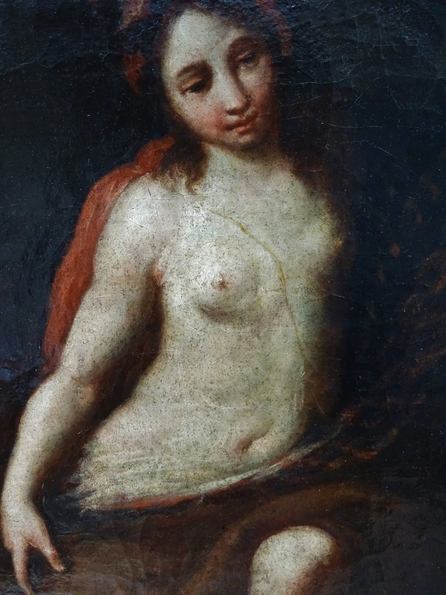 Giuseppe Maria Crespi (1665-1747) (Attribué) - Flora-photo-2