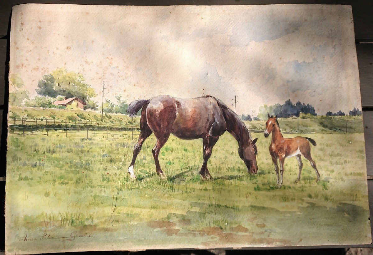 Anna Palm De Rosa (1859-1924) Horses In The Meadow, Watercolor, Painter From Sweden Stockholm