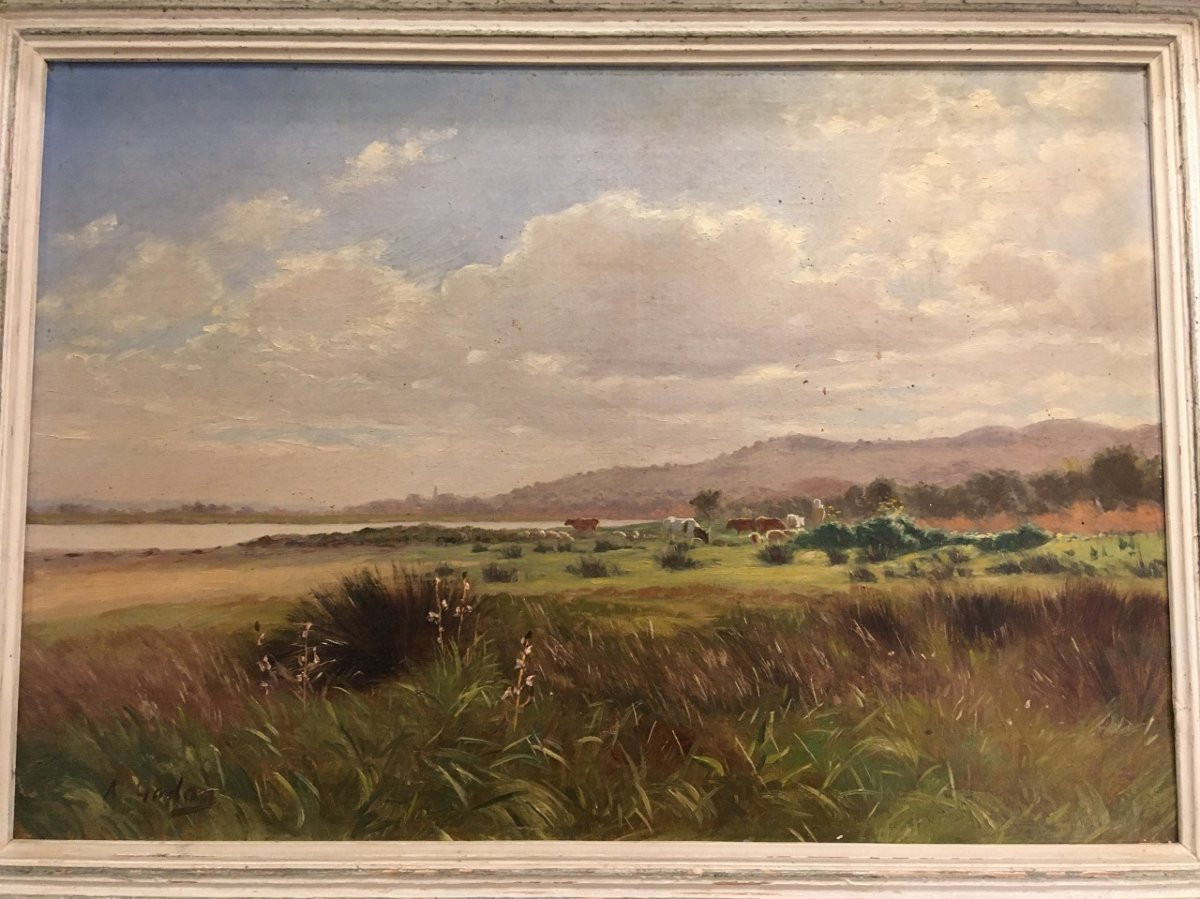 Painting By Antoine Gadan (1854-1934), Orientalist Painter-photo-4