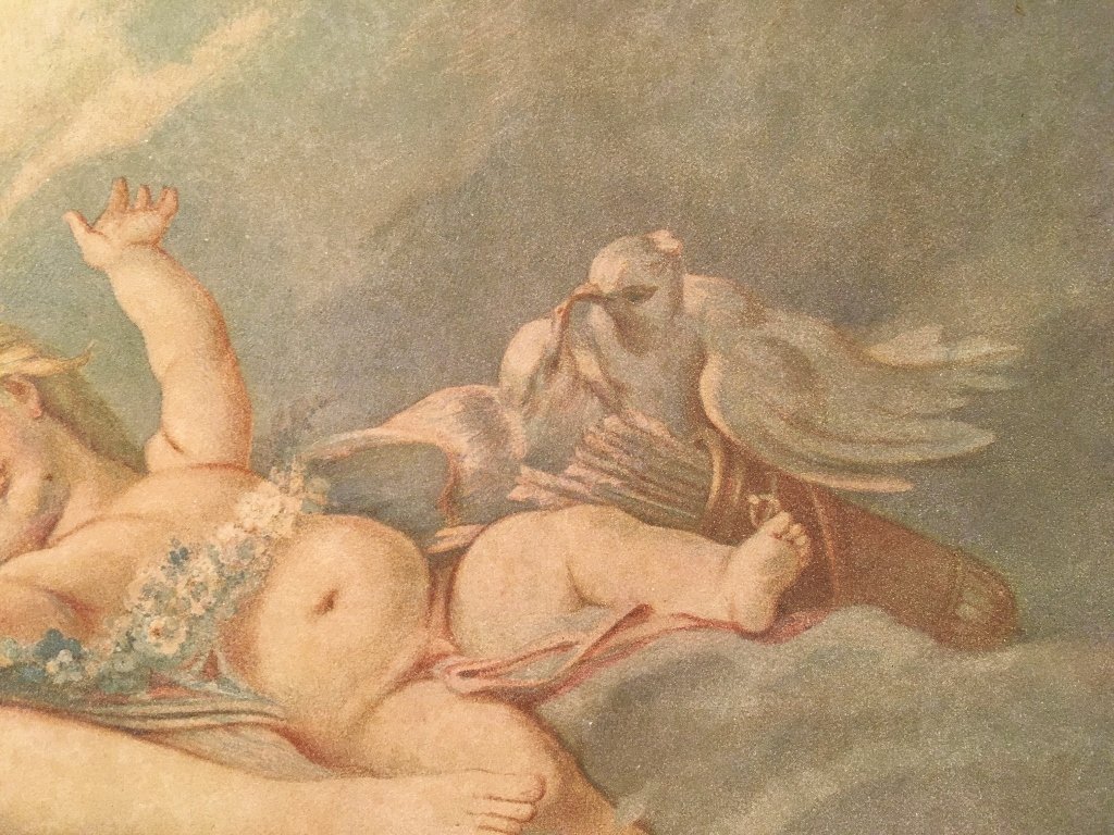 Pastel Venus Désarme l'Amour -photo-8