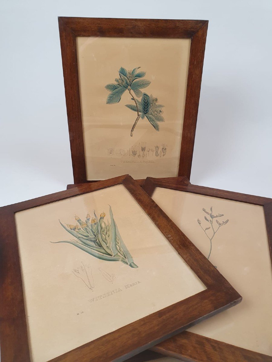 Set Of 7 Engravings - 19th Century-photo-2
