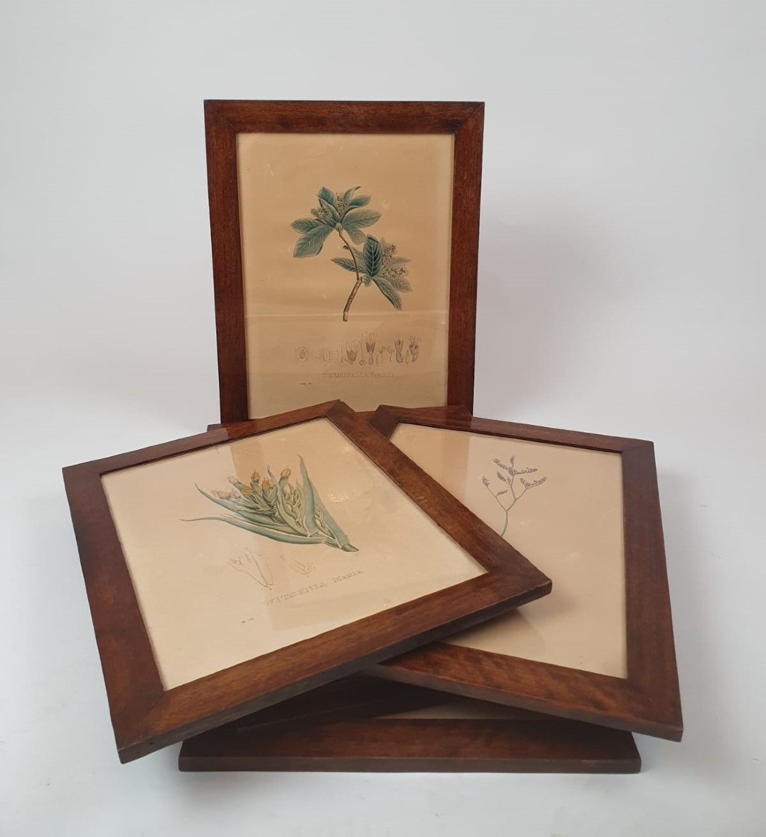 Set Of 7 Engravings - 19th Century