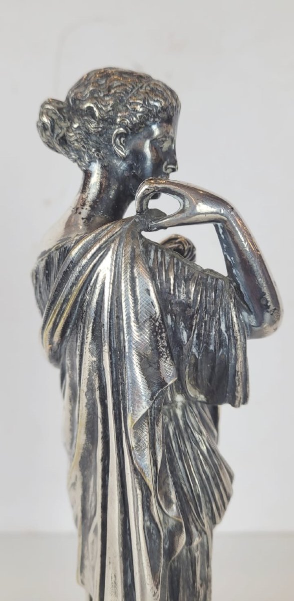 Bronze Argenté - Diane De Gabie-photo-5