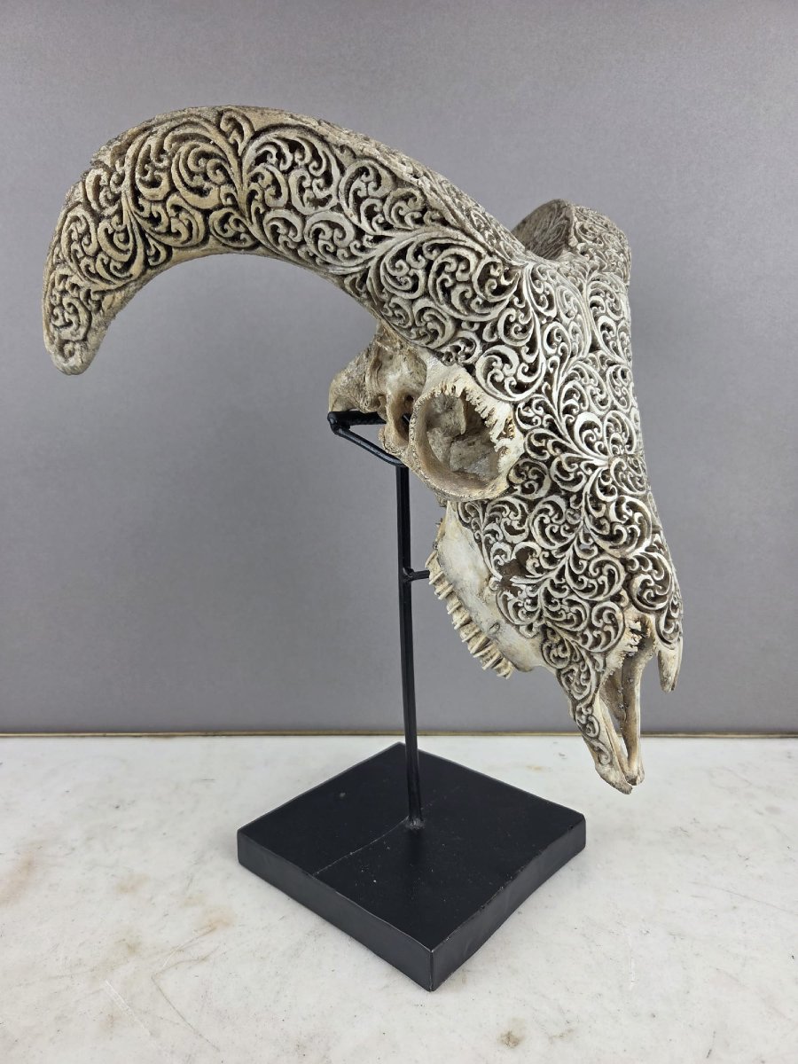 Crâne de bélier en os sculpté-photo-2
