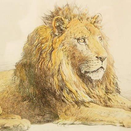 Lion, English Engraving Signed Hd - Herbert Dicksee (1862-1942)-photo-2
