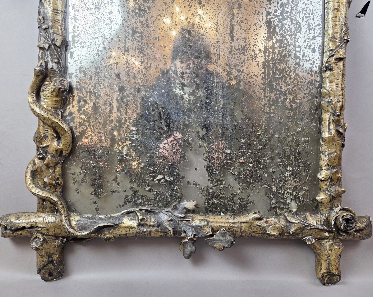 A Finely Carved Giltwood Mirror Depicting A Bird's Nest, Foliage, And A Serpent, 19th Century-photo-1