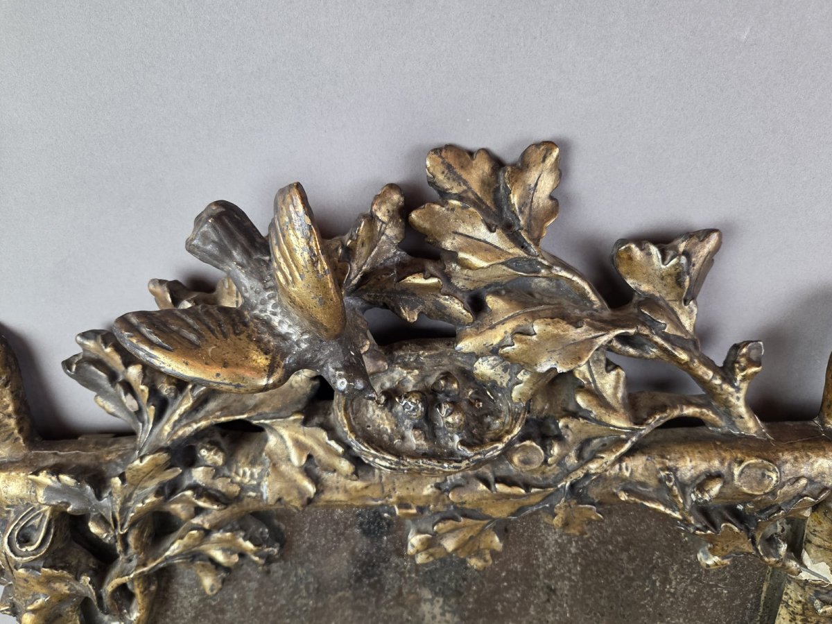 A Finely Carved Giltwood Mirror Depicting A Bird's Nest, Foliage, And A Serpent, 19th Century-photo-2