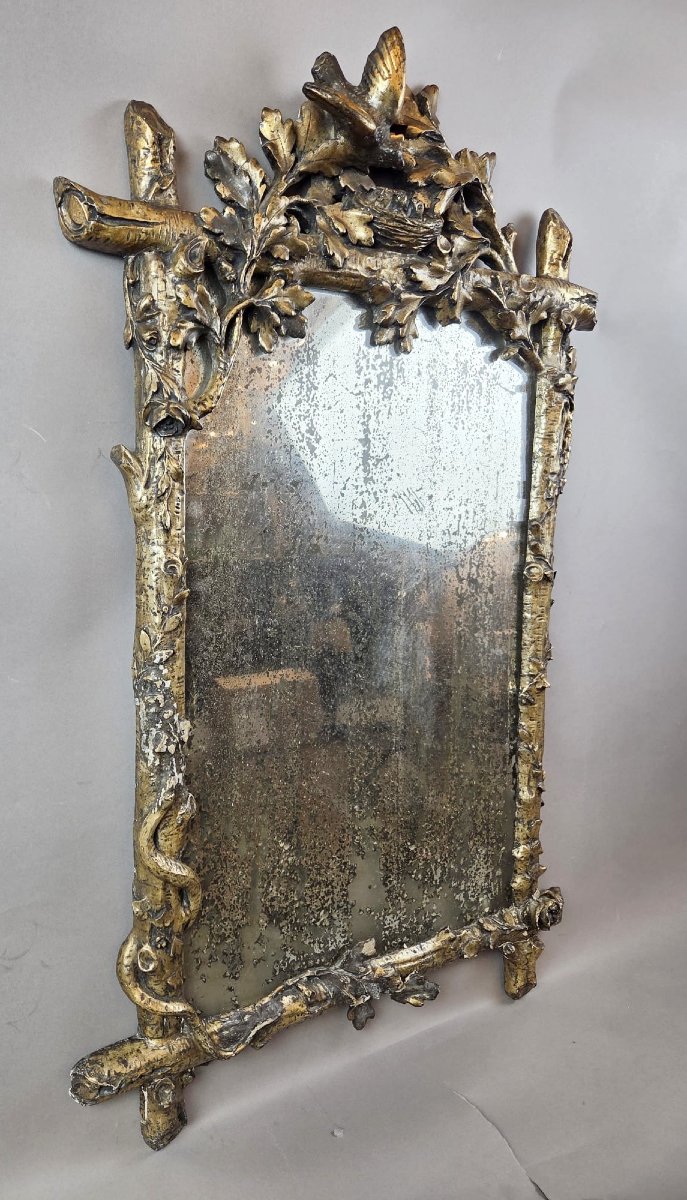 A Finely Carved Giltwood Mirror Depicting A Bird's Nest, Foliage, And A Serpent, 19th Century-photo-3