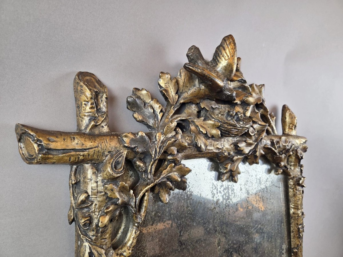 A Finely Carved Giltwood Mirror Depicting A Bird's Nest, Foliage, And A Serpent, 19th Century-photo-4