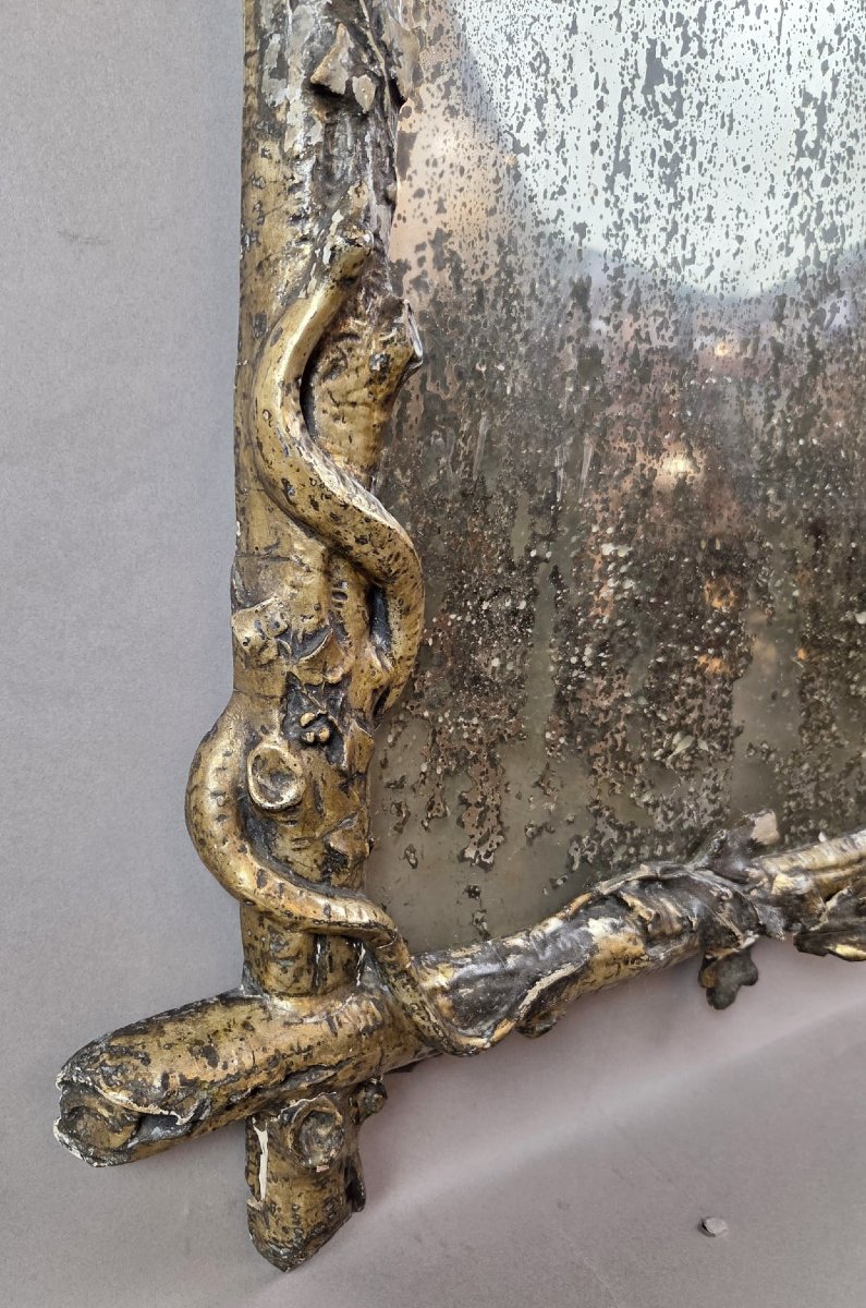A Finely Carved Giltwood Mirror Depicting A Bird's Nest, Foliage, And A Serpent, 19th Century-photo-5