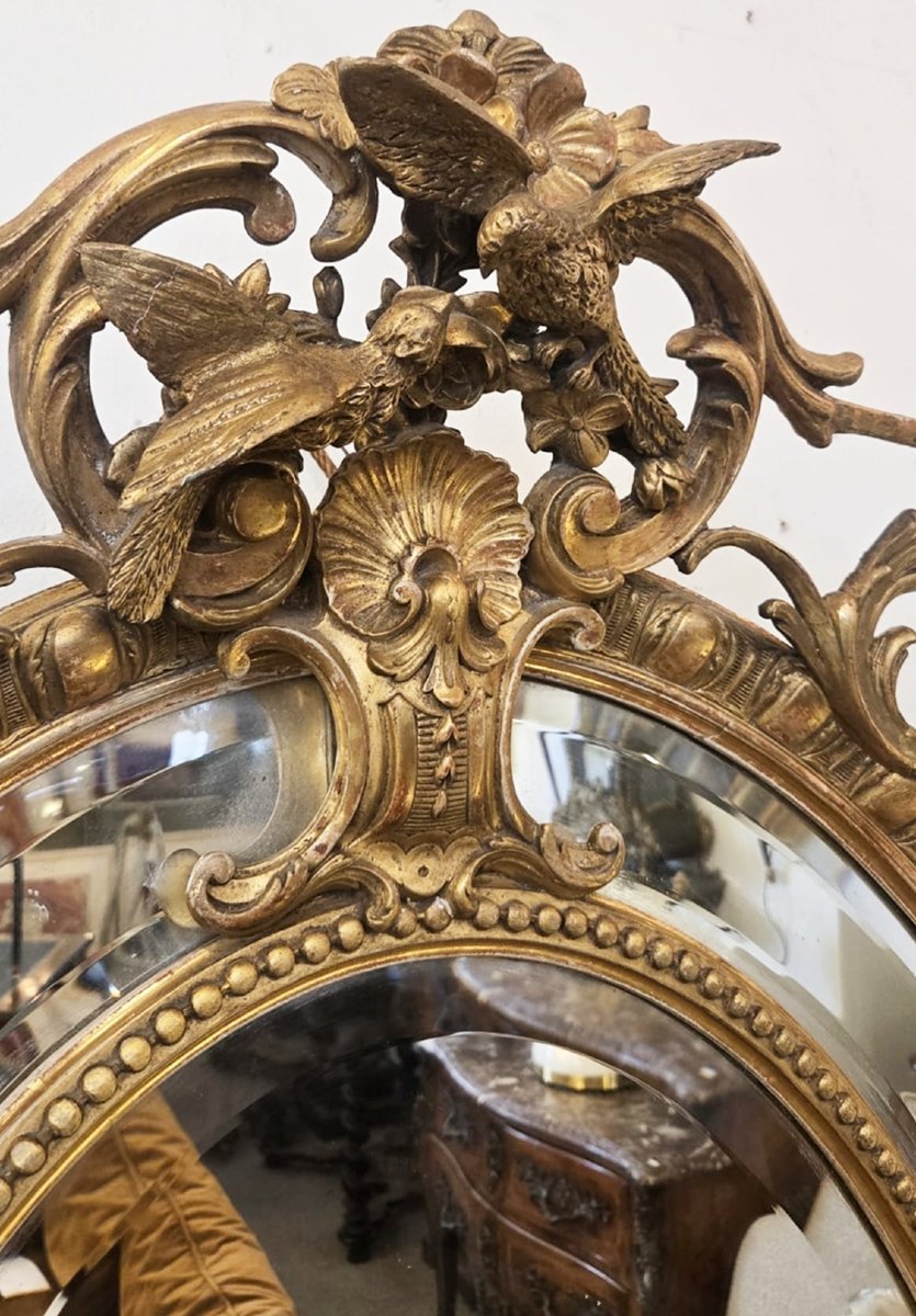 Louis XIV Style Medallion Mirror In Wood And Gilded Stucco, 19th-photo-2