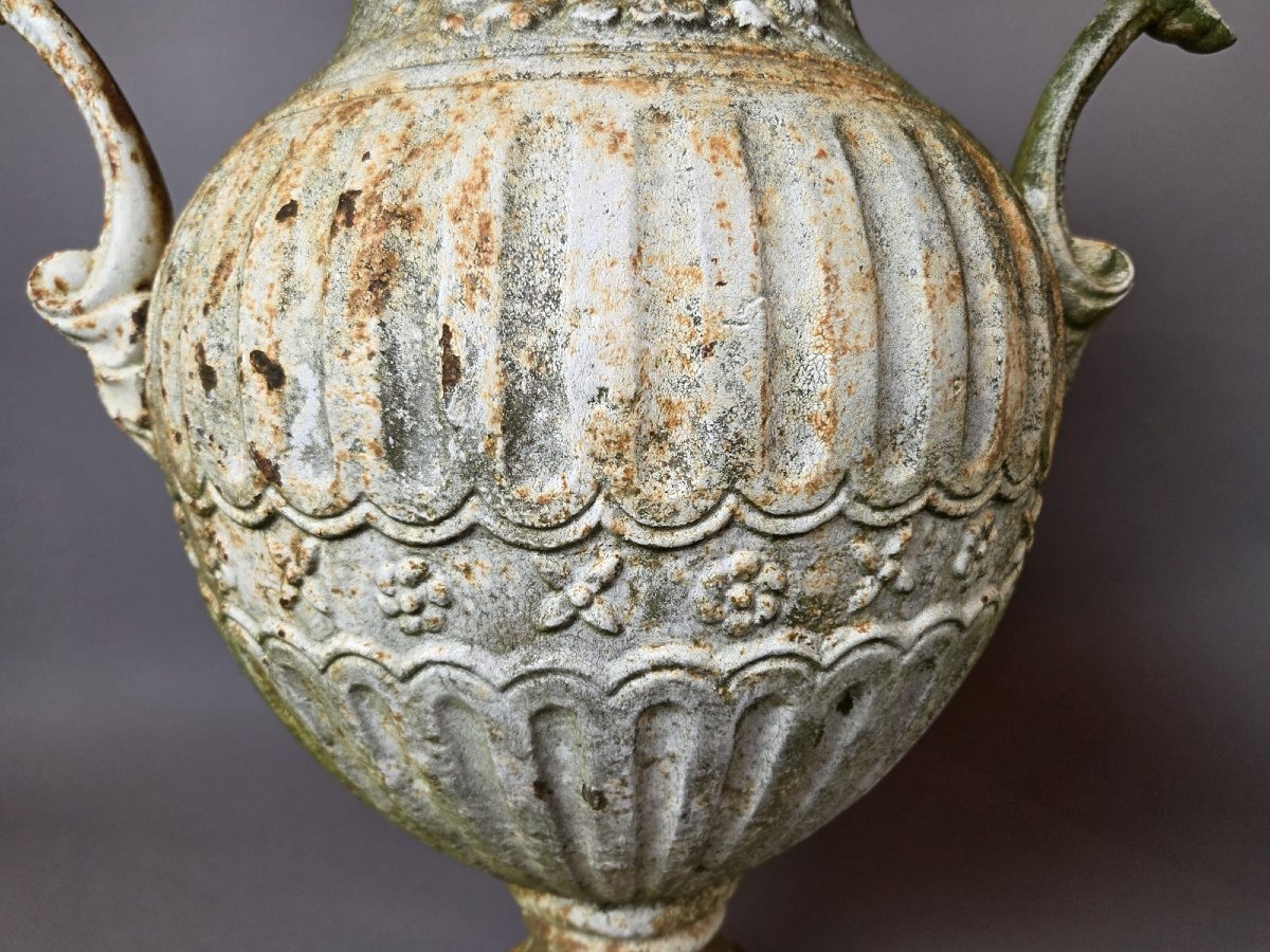 Paire de vasques Médicis en fonte 19th-photo-5