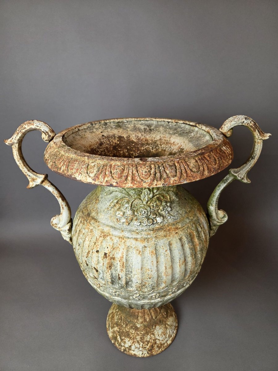 Paire de vasques Médicis en fonte 19th-photo-6