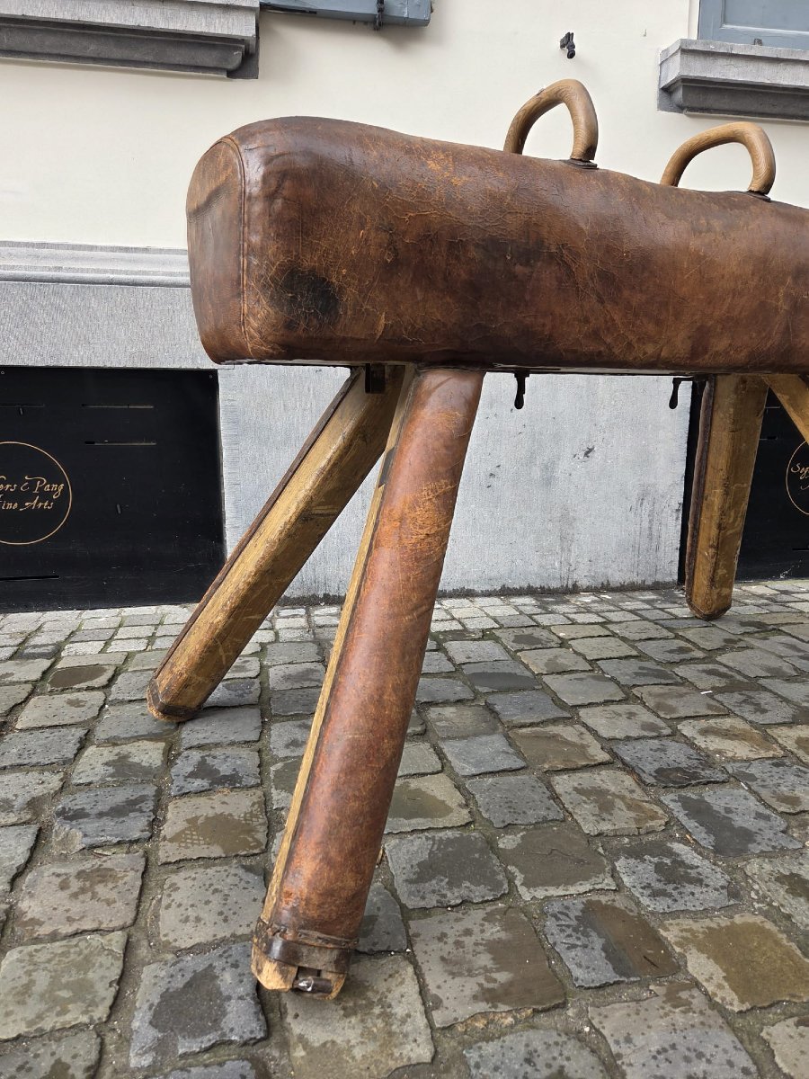 Vintage Leather Pommel Horse-photo-2