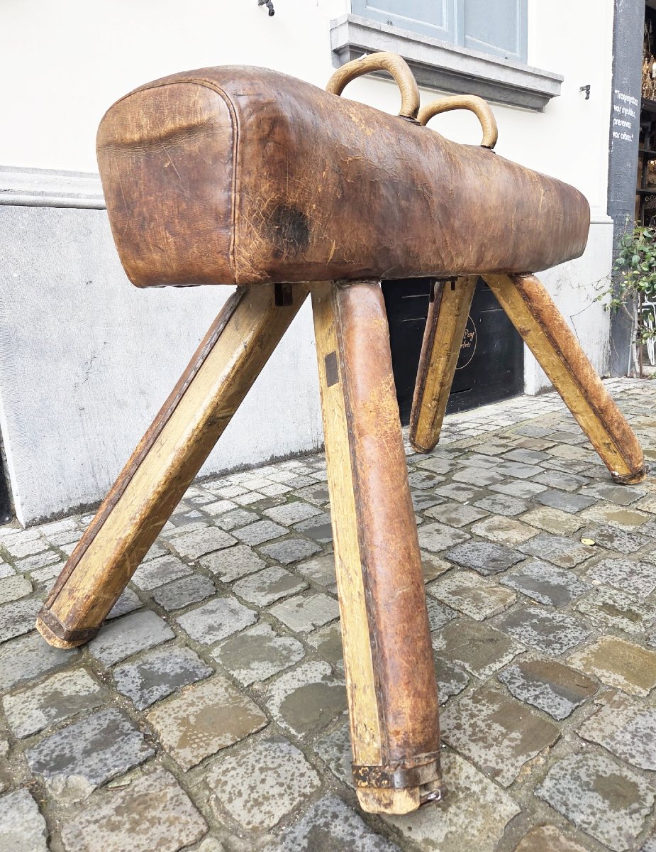 Vintage Leather Pommel Horse-photo-2