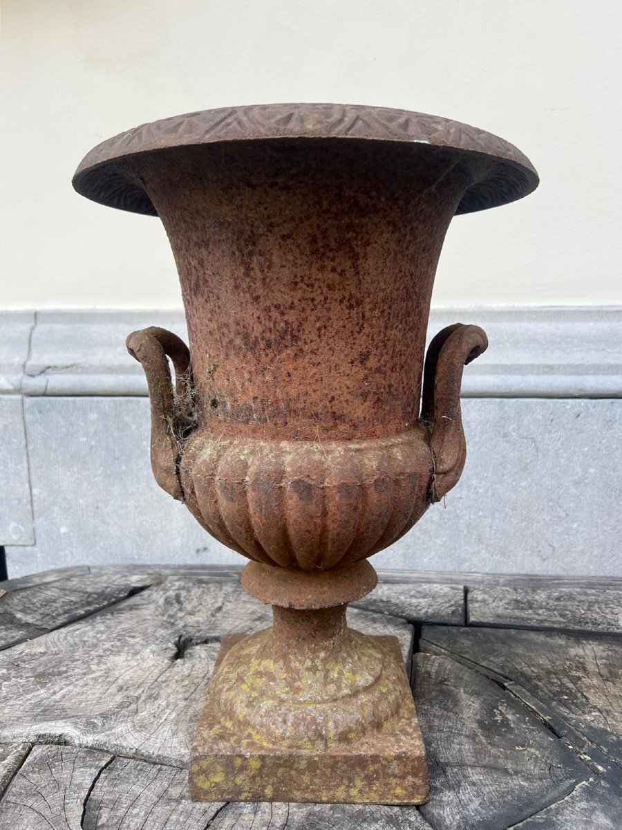 Paire de vasques Médicis en fonte, 20th-photo-3