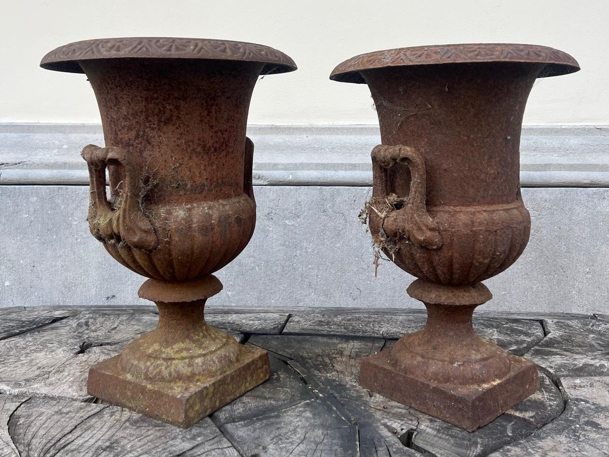 Paire de vasques Médicis en fonte, 20th-photo-4