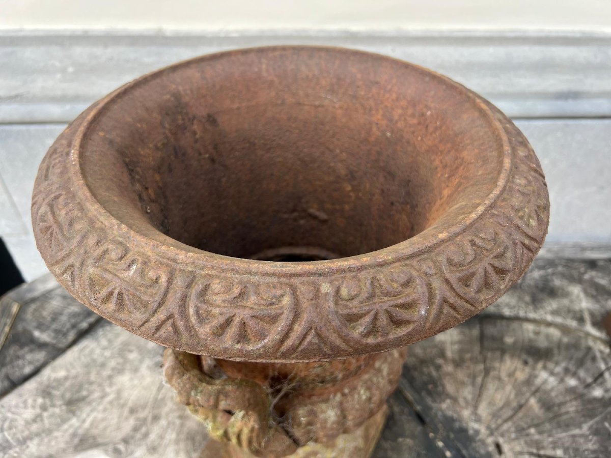 Paire de vasques Médicis en fonte, 20th-photo-3