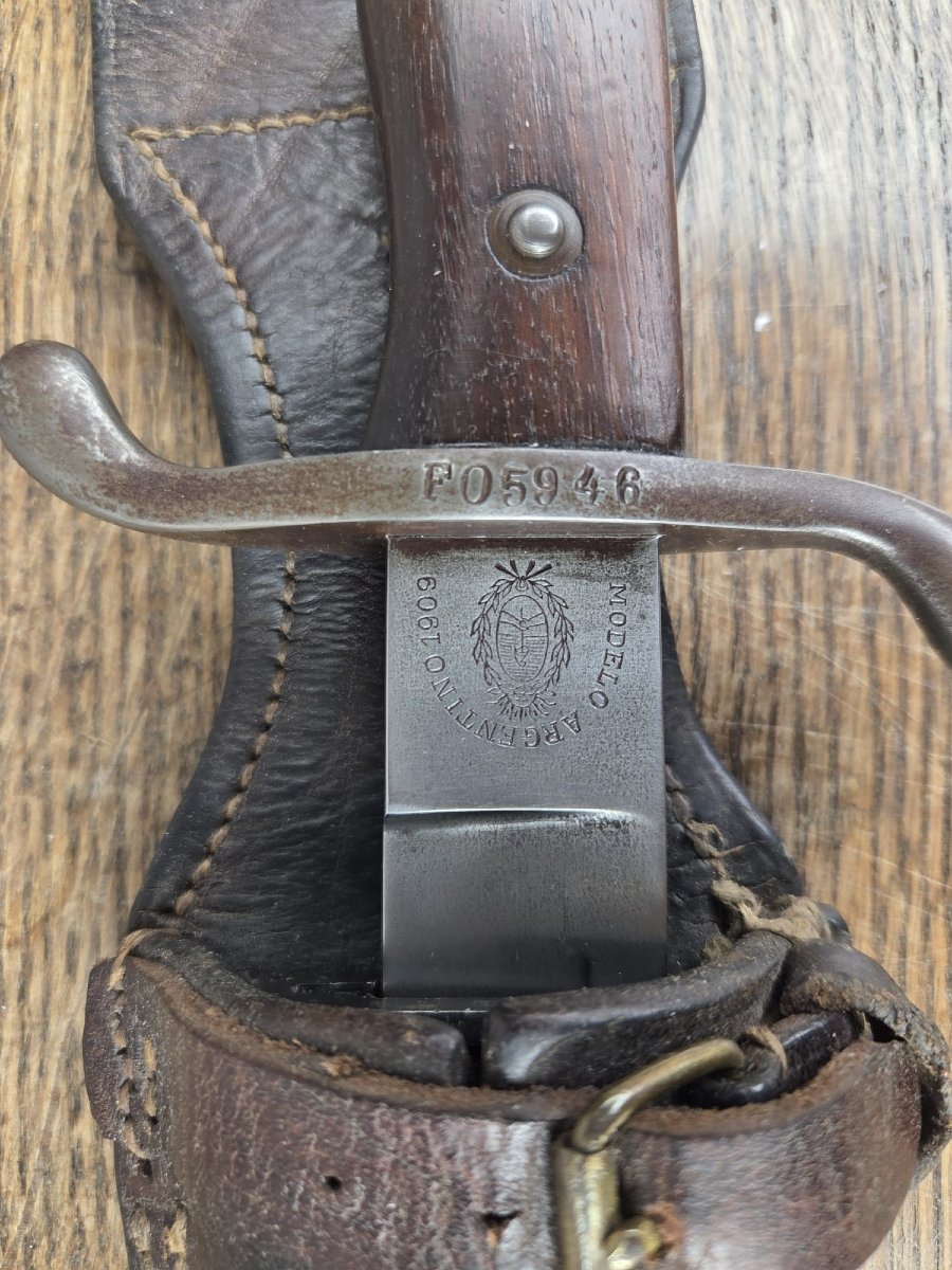 Glaive Réglementaire, Argentina, German Made, 1909-photo-2