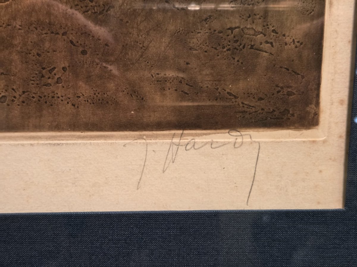 Estampe aquatinte, " Elégante à l'oiseau bleu", circa 1920, signé.-photo-3