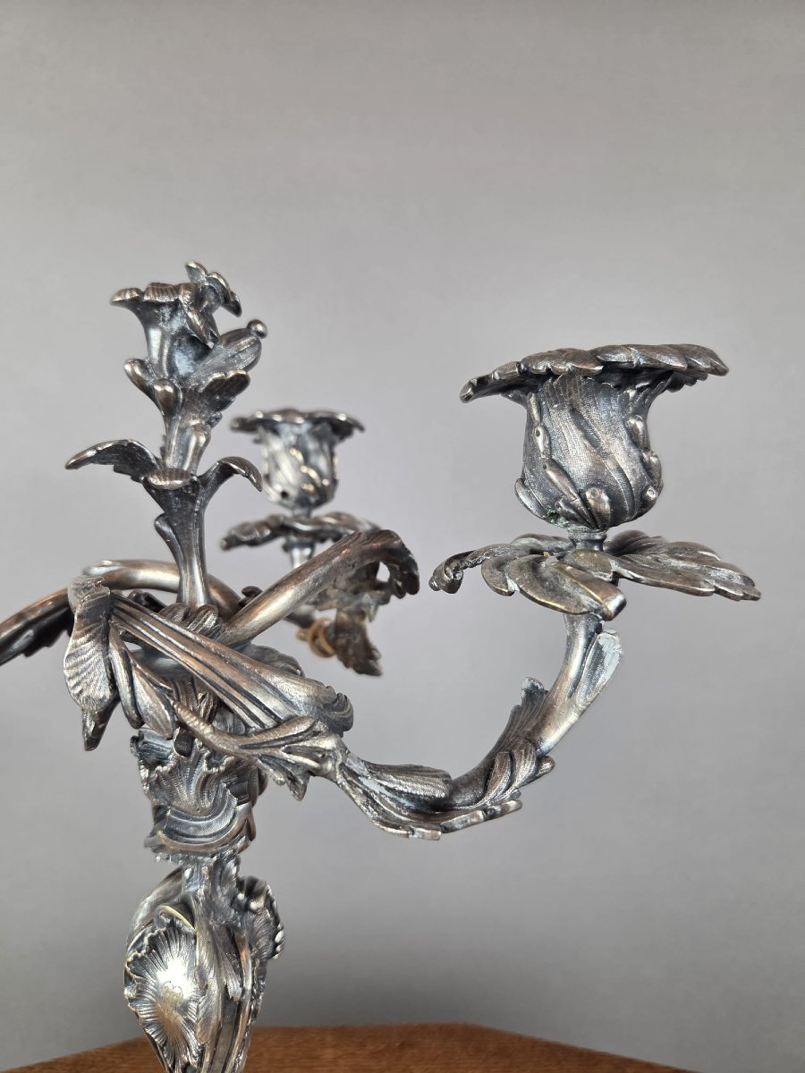Pair Of Louis XV-style Candelabra In Silver-plated Bronze-photo-4