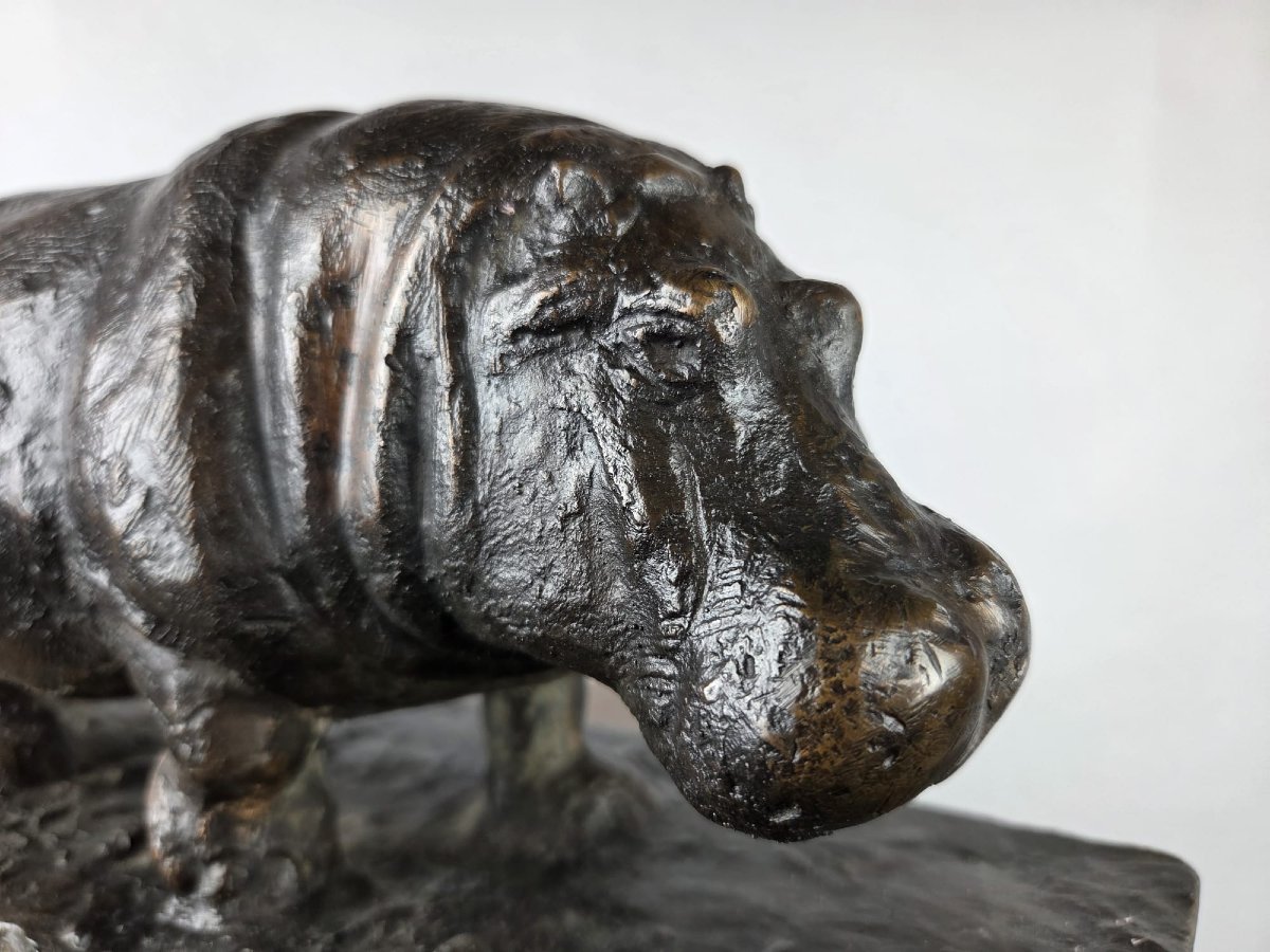 Geldhof Herbert, sculpture en bronze a patine brune "Hippopotame"-photo-3