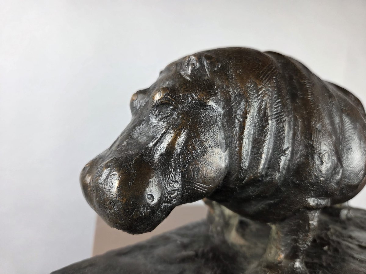 Geldhof Herbert, sculpture en bronze a patine brune "Hippopotame"-photo-3