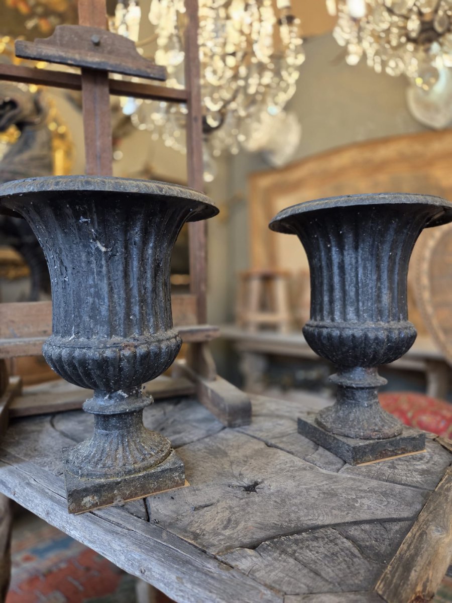 Pair Of Cast-iron Medici Vases