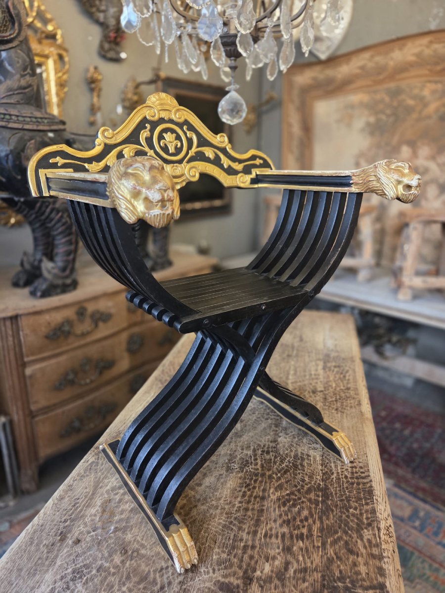 Fauteuil Curule en bois noirci et doré, 20th
