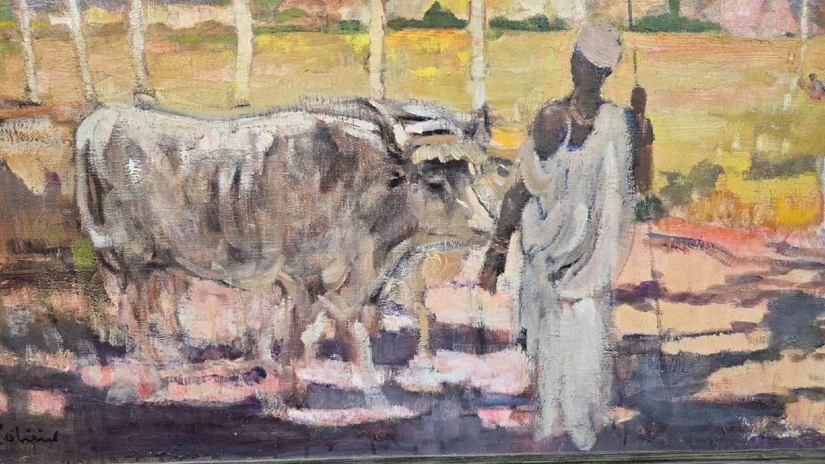 F. Allard L'Olivier, Huile sur toile "Ferme Drogmans au Katanga"-photo-6