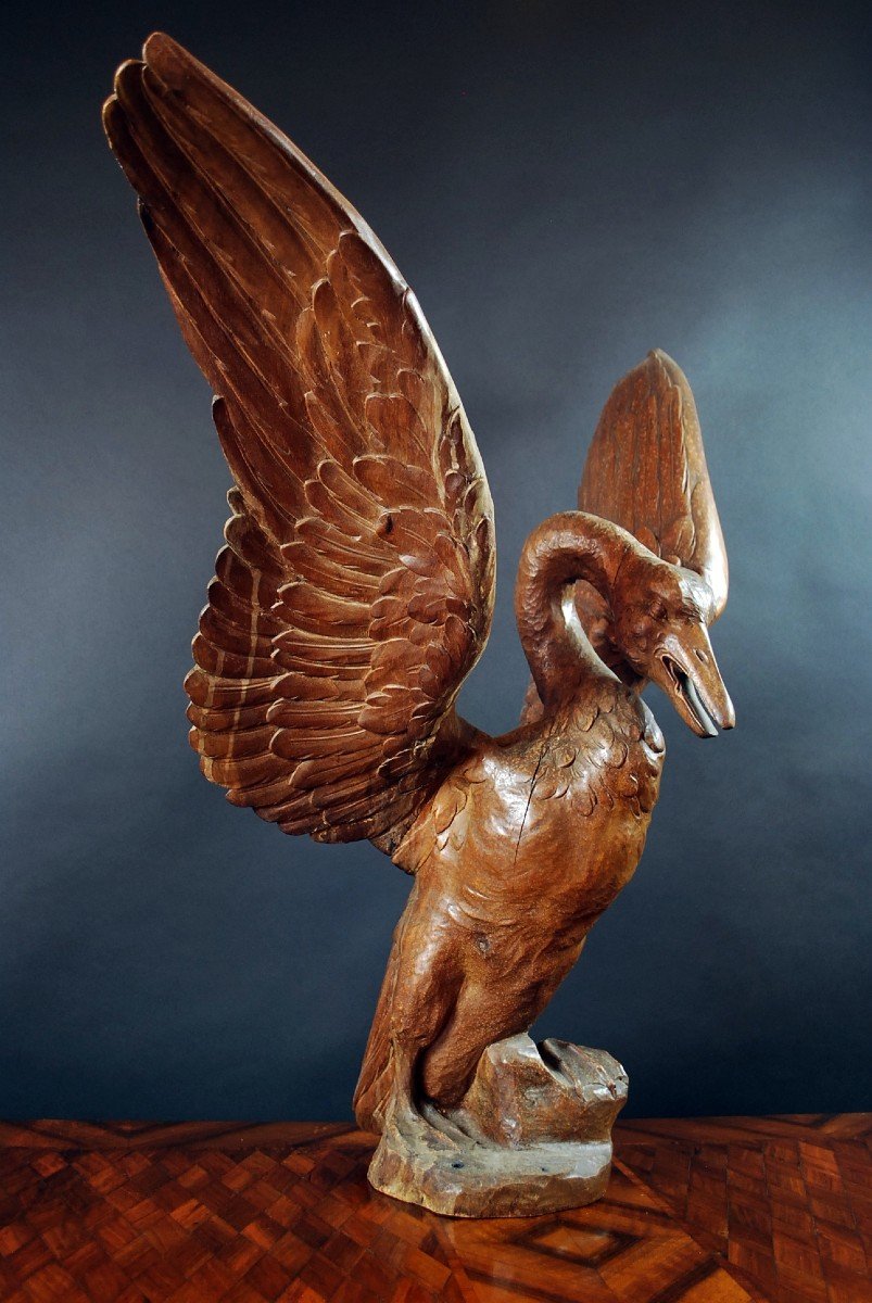 Swan Sculpture By Boudewijn Tuerlinckx