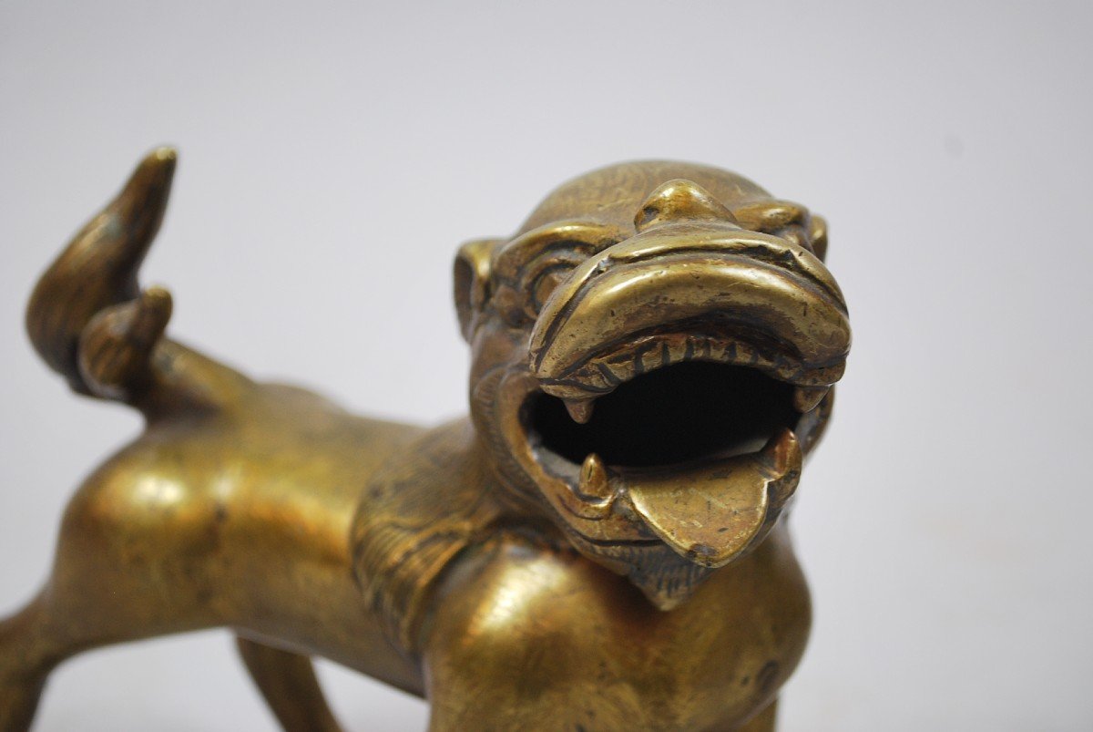 Pair Of Dogs In Bronze-photo-3