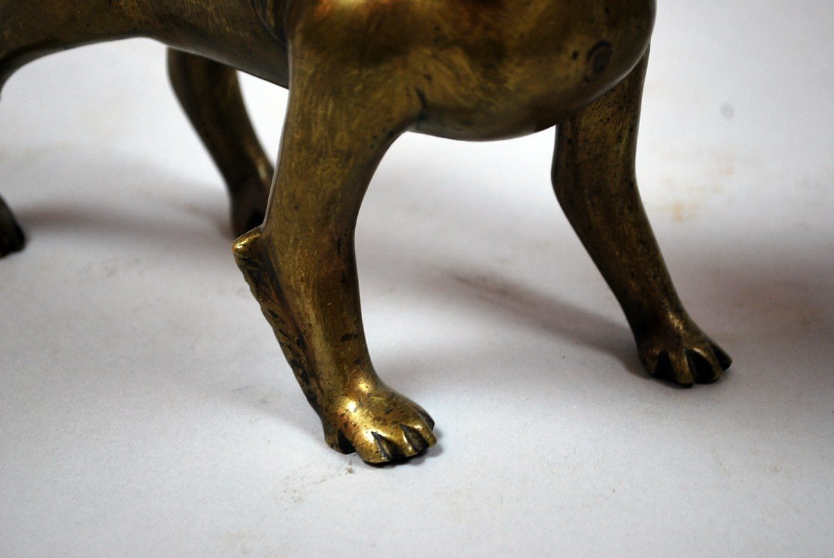 Paire De Chiens En Bronze-photo-1