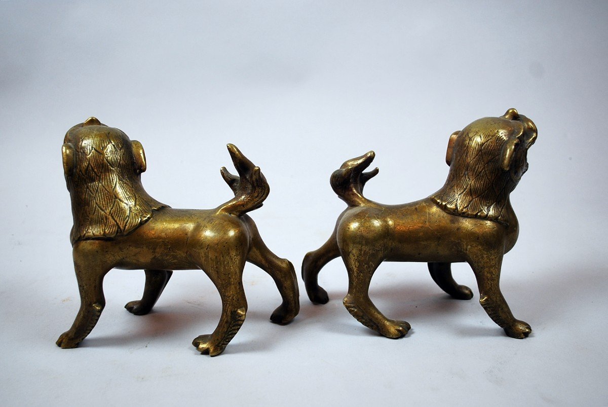 Paire De Chiens En Bronze-photo-5