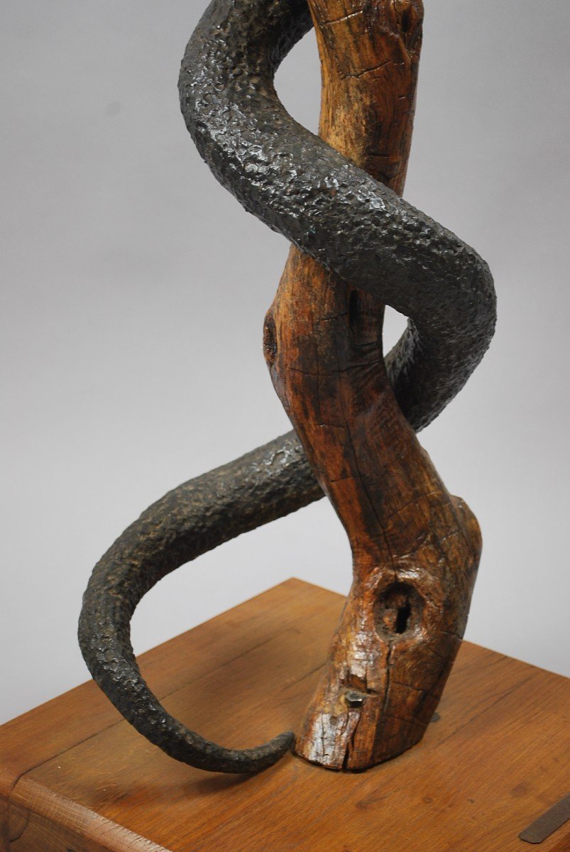 Sculpture De Serpent-photo-4