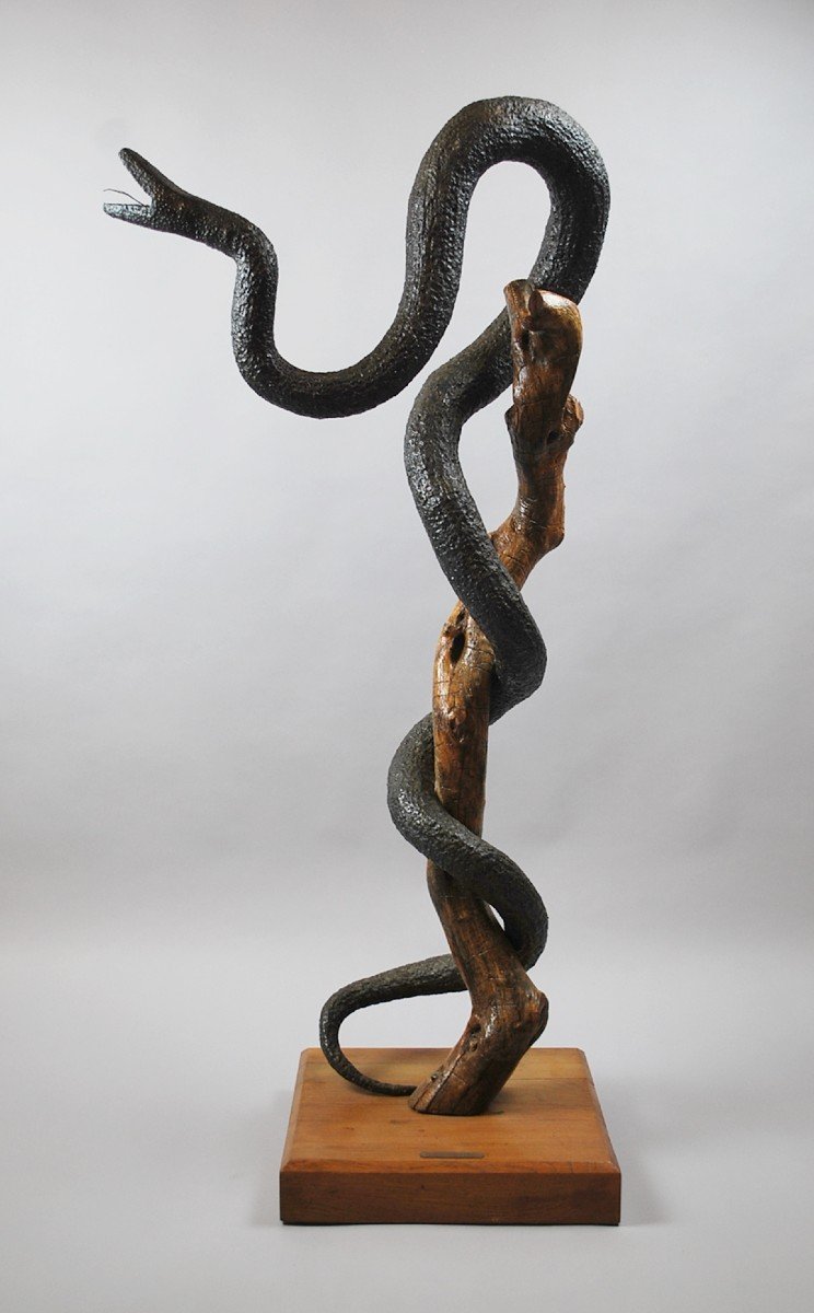 Sculpture De Serpent