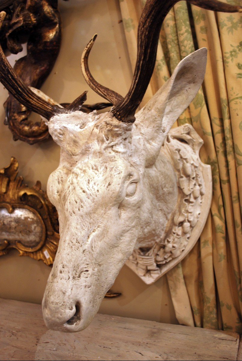 2 Deer Heads In Plaster, Italy 19th-photo-2