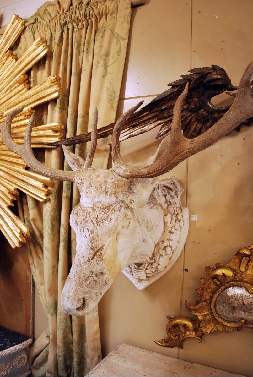 2 Deer Heads In Plaster, Italy 19th-photo-3