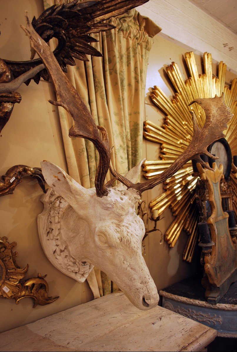 2 Deer Heads In Plaster, Italy 19th-photo-4