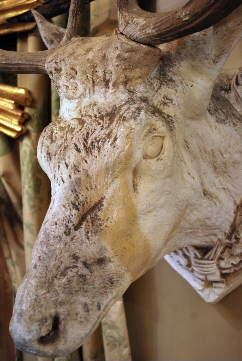 2 Deer Heads In Plaster, Italy 19th-photo-1