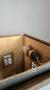 1837545-alb-6ace335a6c0ef.jpg