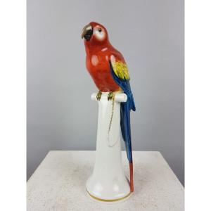 Dresden, Polychrome Porcelain Parrot