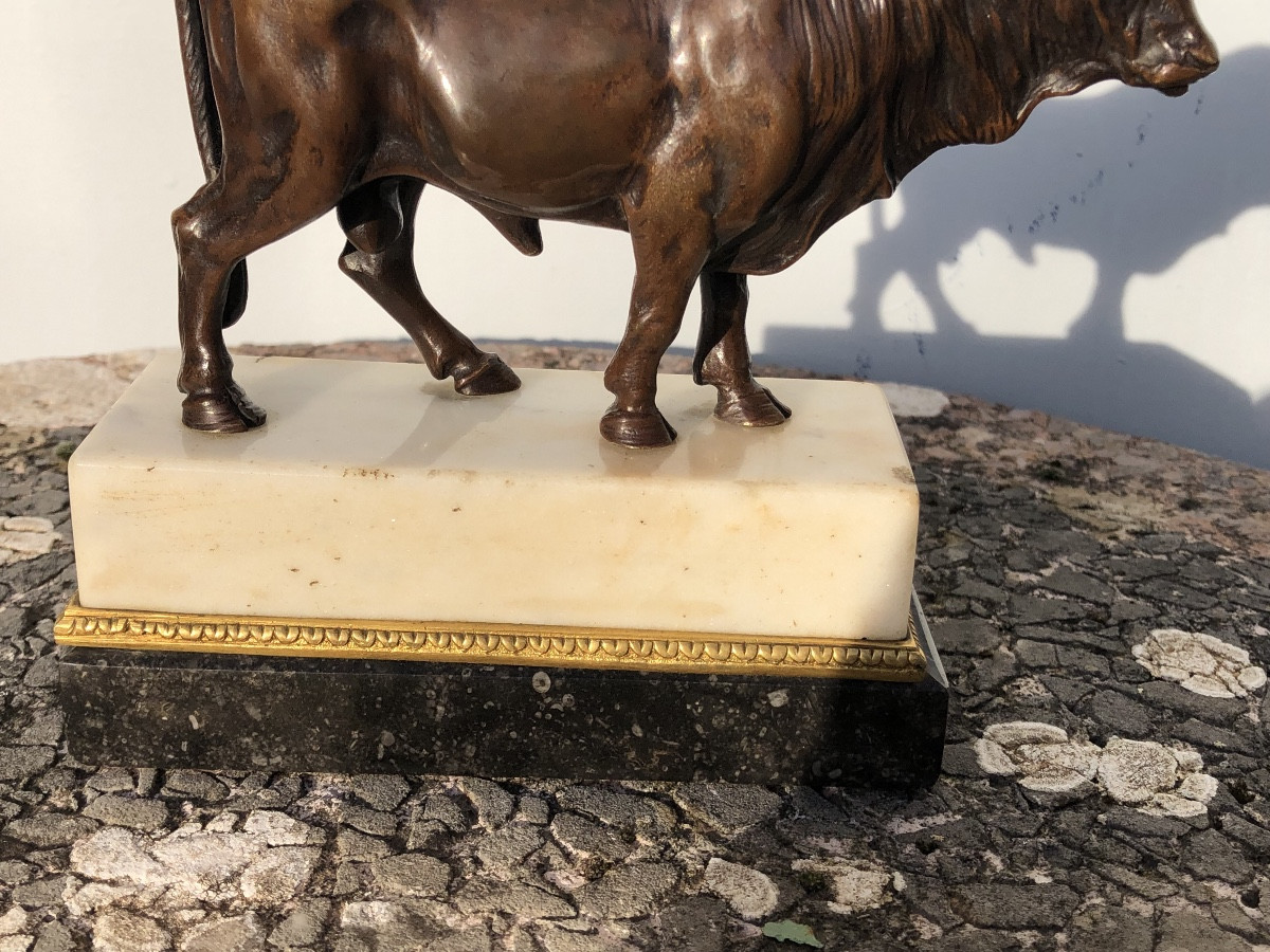 Taureaux En Bronze 1er tiers du 19 ème -photo-2