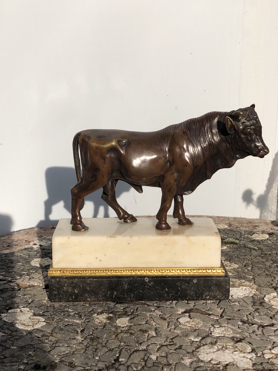 Taureaux En Bronze 1er tiers du 19 ème 