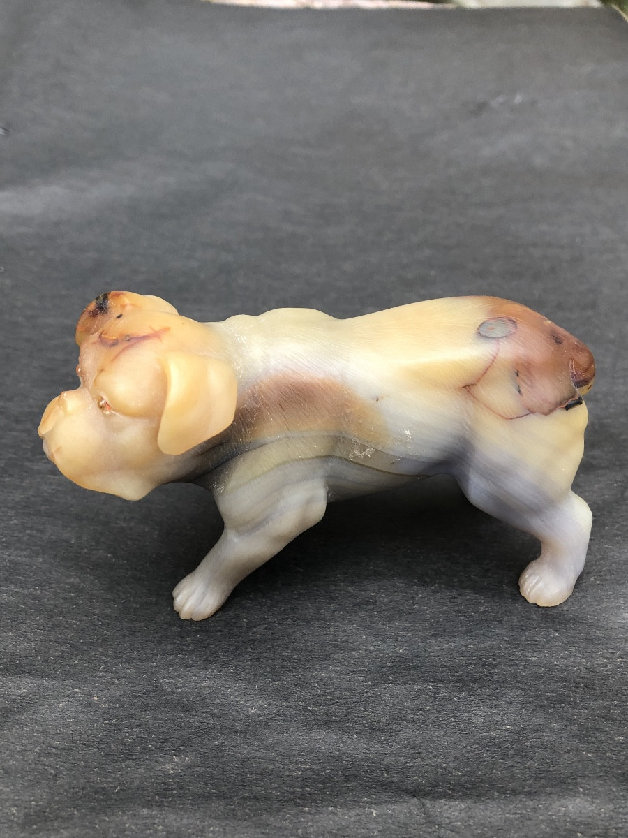 Russie 19 ème. Fabergé att.à « Boulldog Anglais «  en Agate sculptée Vers 1900-photo-2