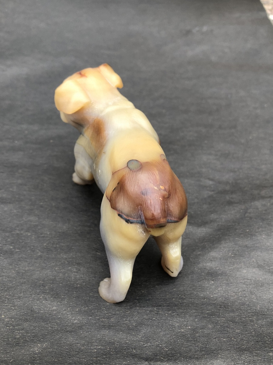 Russie 19 ème. Fabergé att.à « Boulldog Anglais «  en Agate sculptée Vers 1900-photo-4